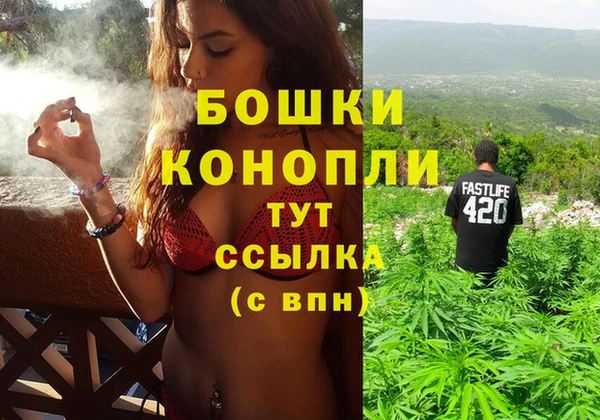 крисы Баксан