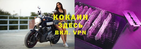крисы Баксан