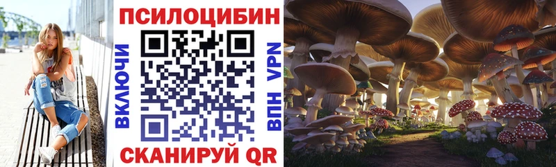 Псилоцибиновые грибы ЛСД Новоуральск